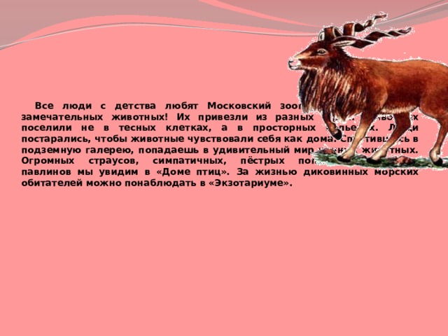  Все люди с детства любят Московский зоопарк. Сколько здесь замечательных животных! Их привезли из разных стран. Животных поселили не в тесных клетках, а в просторных вольерах. Люди постарались, чтобы животные чувствовали себя как дома. Спустившись в подземную галерею, попадаешь в удивительный мир ночных животных. Огромных страусов, симпатичных, пёстрых попугаев, красавцев павлинов мы увидим в «Доме птиц». За жизнью диковинных морских обитателей можно понаблюдать в «Экзотариуме». 