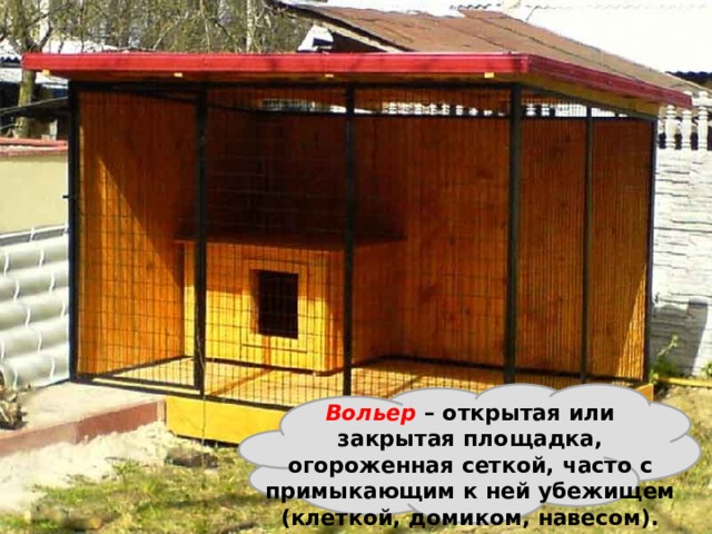  Вольер  – открытая или закрытая площадка, огороженная сеткой, часто с примыкающим к ней убежищем (клеткой, домиком, навесом). 