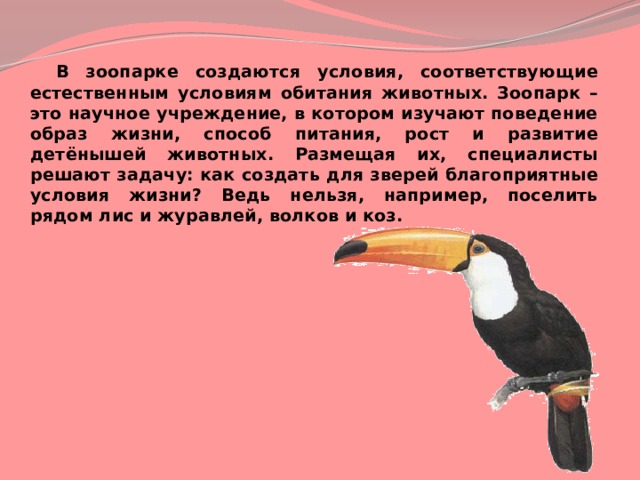  В зоопарке создаются условия, соответствующие естественным условиям обитания животных. Зоопарк – это научное учреждение, в котором изучают поведение образ жизни, способ питания, рост и развитие детёнышей животных. Размещая их, специалисты решают задачу: как создать для зверей благоприятные условия жизни? Ведь нельзя, например, поселить рядом лис и журавлей, волков и коз. 