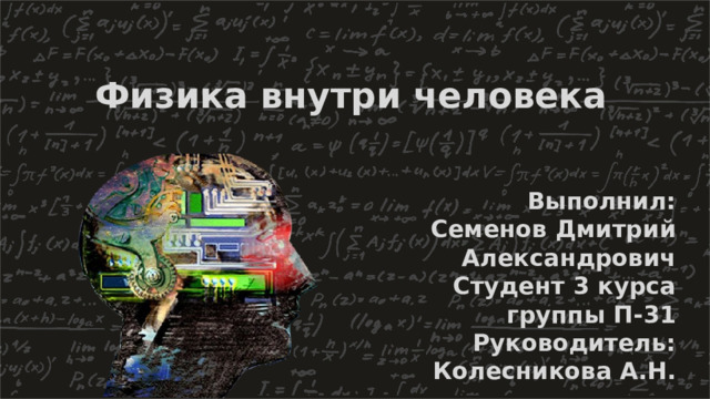 Физика внутри человека Выполнил: Семенов Дмитрий Александрович Студент 3 курса  группы П-31 Руководитель: Колесникова А.Н. 