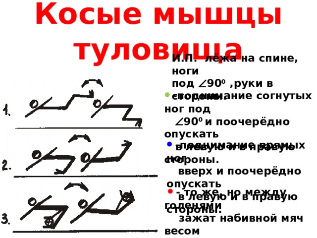 Косые мышцы туловища И.П. лёжа на спине, ноги под   90 0 ,руки в стороны.   -поднимание согнутых ног под   90 0 и поочерёдно опускать  в левую и в правую стороны.     -поднимание прямых ног  вверх и поочерёдно опускать  в левую и в правую стороны.     - то же, но между голенями  зажат набивной мяч весом  1-2 кг. 