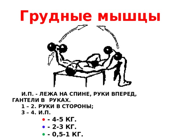 Грудные мышцы  И.П. - Лежа на спине, руки вперед, гантели в  руках.   1 – 2. Руки в стороны;   3 – 4. И.П.    - 4-5 кг.     - 2-3 кг.     - 0,5-1 кг.    