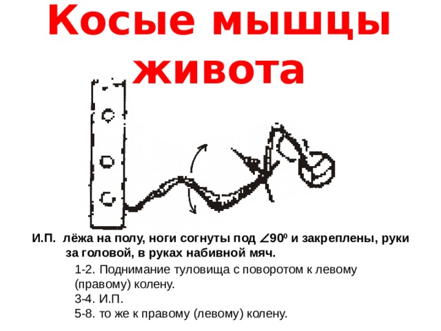 Косые мышцы живота   И.П. лёжа на полу, ноги согнуты под  90 0 и закреплены, руки  за головой, в руках набивной мяч. 1-2. Поднимание туловища с поворотом к левому (правому) колену. 3-4. И.П. 5-8. то же к правому (левому) колену. 