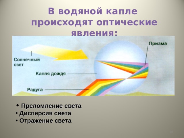 В водяной капле  происходят оптические явления:  Преломление света  Дисперсия света  Отражение света  