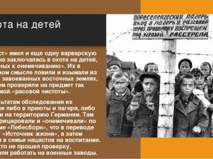 Как назывался план физического истребления народов ссср и восточной европы объявленных расово
