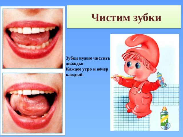  Чистим зубки Зубки нужно чистить дважды: Каждое утро и вечер каждый. 
