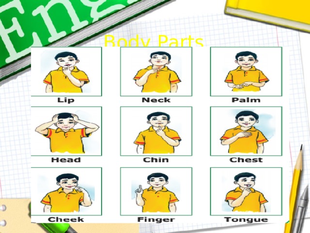 Body Parts 