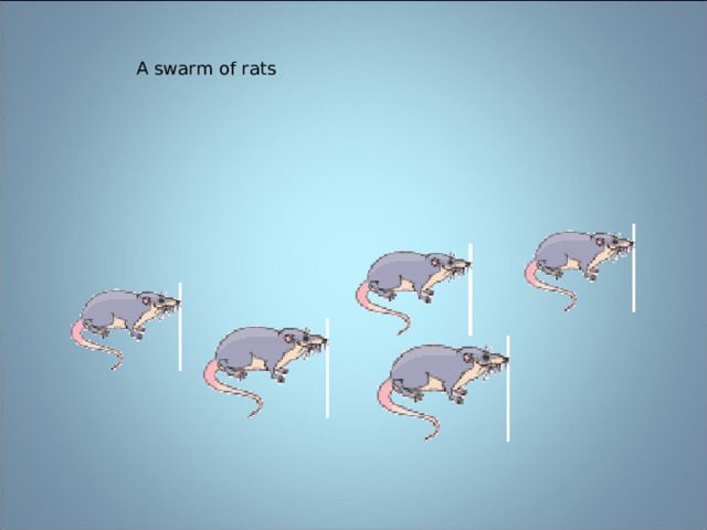  A swarm of rats 