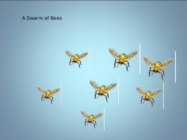 A Swarm of Bees 