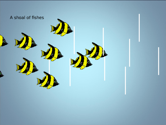 A shoal of fishes 