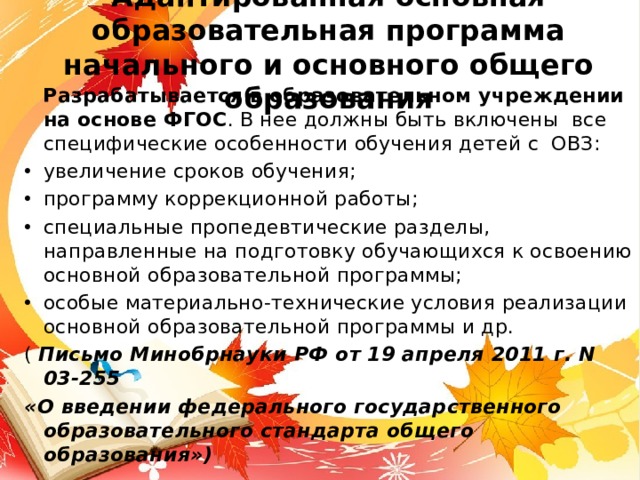 Адаптированная основная образовательная программа начального и основного общего образования  Разрабатывается в образовательном учреждении на основе ФГОС . В нее должны быть включены все специфические особенности обучения детей с ОВЗ: увеличение сроков обучения; программу коррекционной работы; специальные пропедевтические разделы, направленные на подготовку обучающихся к освоению основной образовательной программы; особые материально-технические условия реализации основной образовательной программы и др. ( Письмо Минобрнауки РФ от 19 апреля 2011 г. N 03-255 «О введении федерального государственного образовательного стандарта общего образования») 