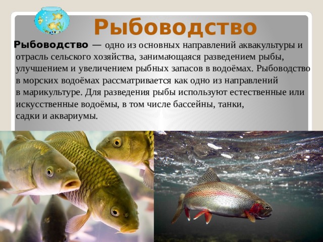 Презентация "Животноводство" - Окружающий мир - Презентации - 3 класс