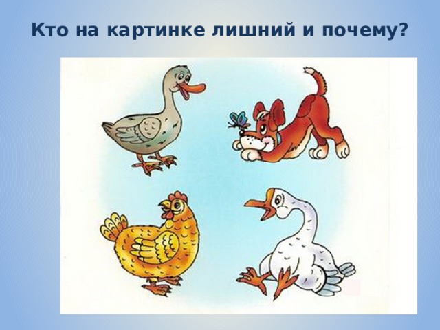 Кто на картинке лишний и почему? 