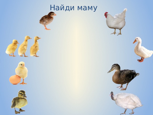 Найди маму 