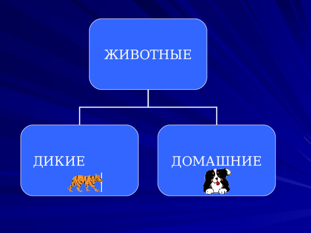 ЖИВОТНЫЕ ДИКИЕ ДОМАШНИЕ 