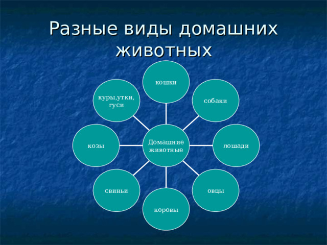 Разные виды домашних животных кошки куры , утки , гуси собаки лошади козы Домашние животные овцы свиньи коровы 