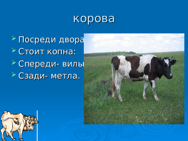 корова Посреди двора Стоит копна : C переди- вилы , Сзади- метла .    