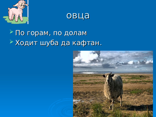 овца По горам , по долам Ходит шуба да кафтан . 