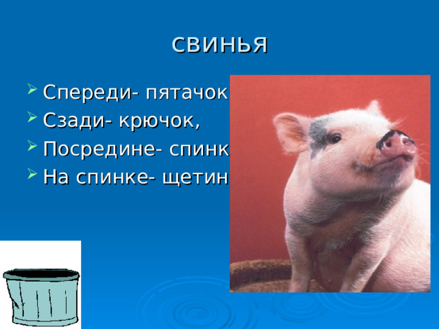 свинья Спереди- пятачок , Сзади- крючок , Посредине- спинка , На спинке- щетинка . 