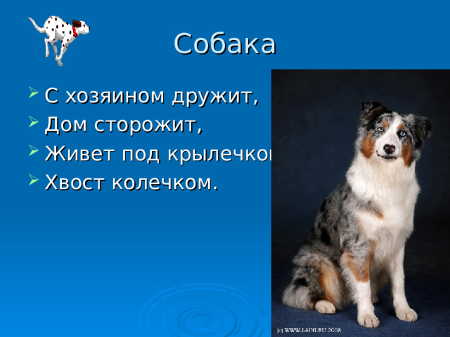 Собака С хозяином дружит , Дом сторожит , Живет под крылечком , Хвост колечком . 