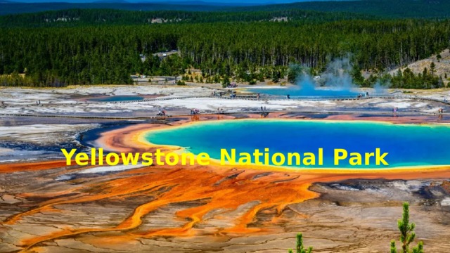 Yellowstone National Park 