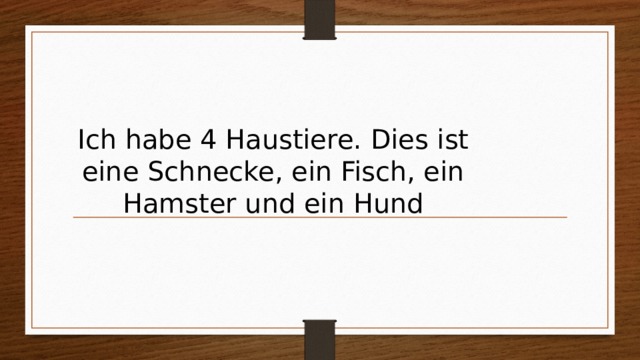 Ich habe 4 Haustiere. Dies ist eine Schnecke, ein Fisch, ein Hamster und ein Hund 