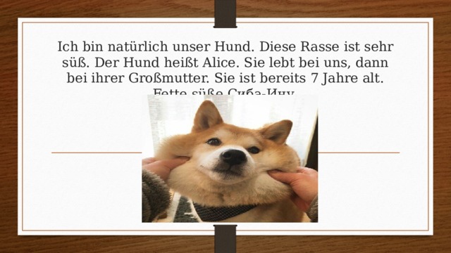 Ich bin natürlich unser Hund. Diese Rasse ist sehr süß. Der Hund heißt Alice. Sie lebt bei uns, dann bei ihrer Großmutter. Sie ist bereits 7 Jahre alt. Fette süße Сиба-Ину. 