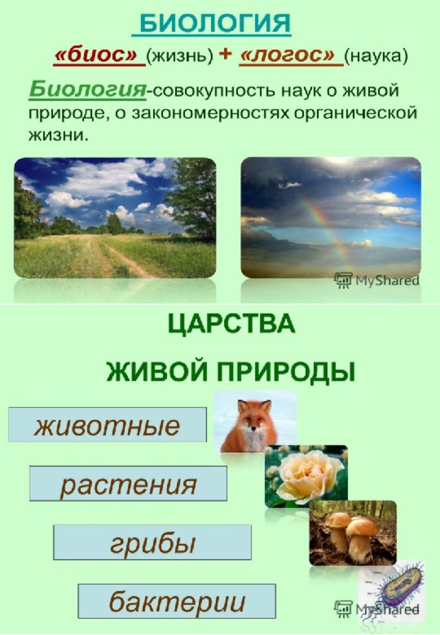 Движения неживой природы. Живая и неживая природа. Дивая и не Дивая природа. Живая природа примеры.