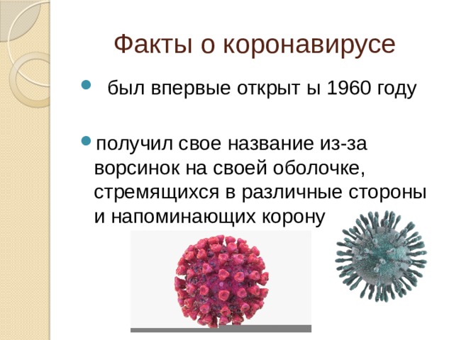  Факты о коронавирусе  был впервые открыт ы 1960 году получил свое название из-за ворсинок на своей оболочке, стремящихся в различные стороны и напоминающих корону 