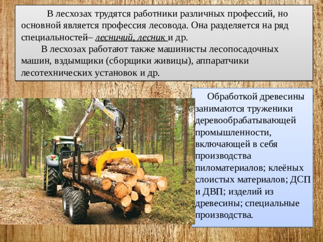  В лесхозах трудятся работники различных профессий, но основной является профессия лесовода. Она разделяется на ряд специальностей– лесничий, лесник и др.  В лесхозах работают также машинисты лесопосадочных машин, вздымщики (сборщики живицы), аппаратчики лесотехнических установок и др.  Обработкой древесины занимаются труженики деревообрабатывающей промышленности, включающей в себя производства пиломатериалов; клеёных слоистых материалов; ДСП и ДВП; изделий из древесины; специальные производства. 