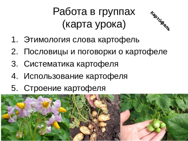 Карты картофеля