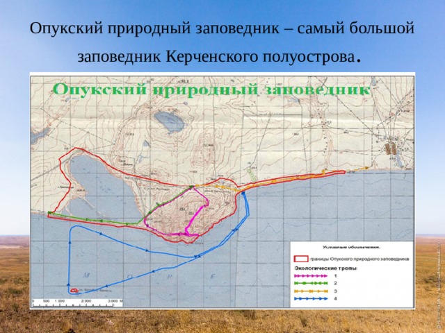 Опукский природный заповедник – самый большой заповедник Керченского полуострова . 