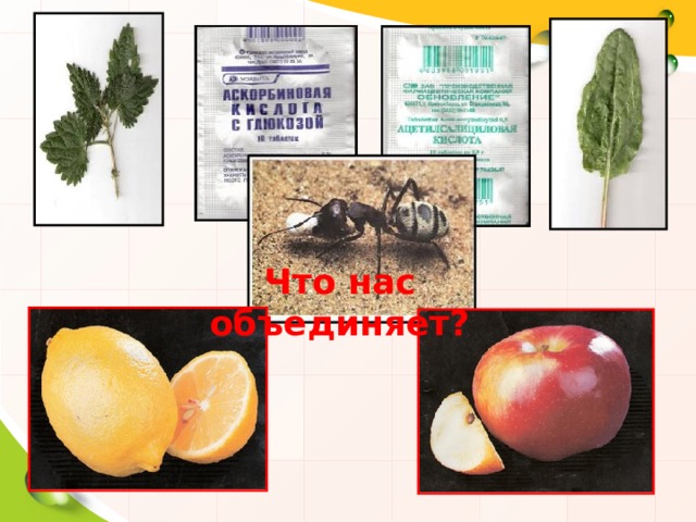Что нас объединяет?  