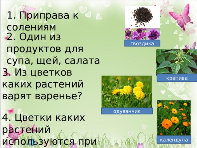 1. Приправа к солениям 2. Один из продуктов для супа, щей, салата гвоздика 3. Из цветков каких растений варят варенье? крапива одуванчик 4. Цветки каких растений используются при приготовлении гарнира? календула 