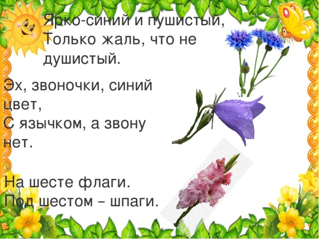 Ярко-синий и пушистый,  Только жаль, что не душистый.   Эх, звоночки, синий цвет,  С язычком, а звону нет.   На шесте флаги.  Под шестом – шпаги.   