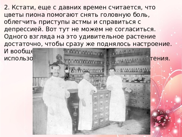 2. Кстати, еще с давних времен считается, что цветы пиона помогают снять головную боль, облегчить приступы астмы и справиться с депрессией. Вот тут не можем не согласиться. Одного взгляда на это удивительное растение достаточно, чтобы сразу же поднялось настроение. И вообще, вплоть до начала XIX века пионы использовали только как лекарственные растения. 