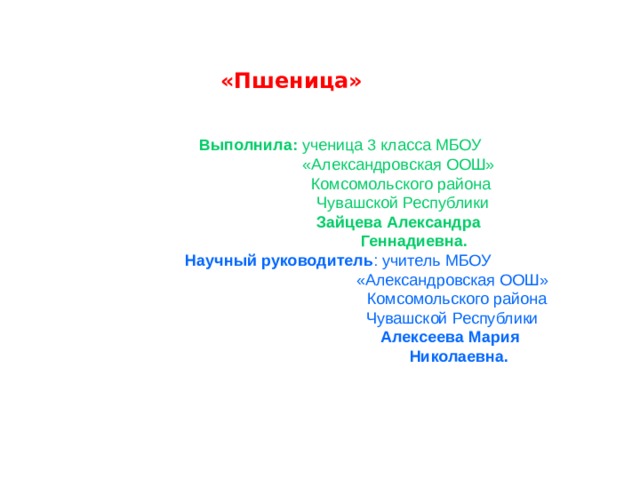 «Пшеница»   Выполнила: ученица 3 класса МБОУ  «Александровская ООШ»  Комсомольского района  Чувашской Республики  Зайцева Александра  Геннадиевна.  Научный руководитель : учитель МБОУ  «Александровская ООШ»  Комсомольского района  Чувашской Республики  Алексеева Мария  Николаевна. 