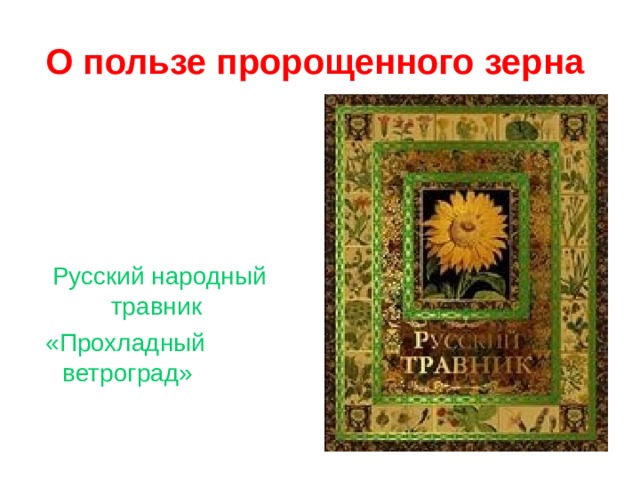 О пользе пророщенного зерна   Русский народный травник  «Прохладный ветроград» 