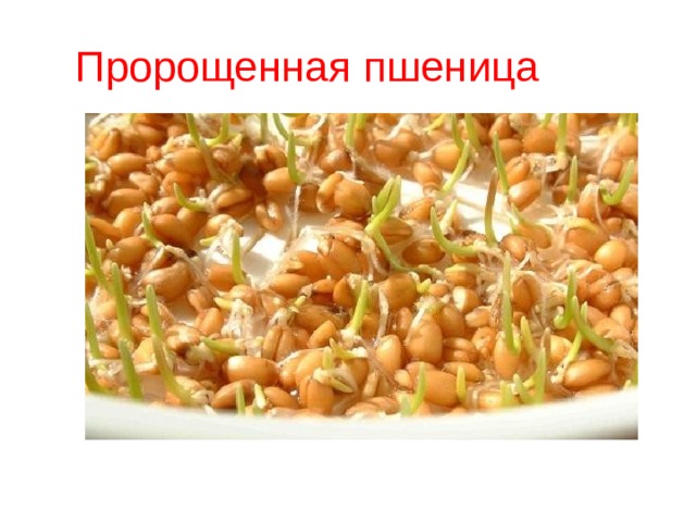Пророщенная пшеница  