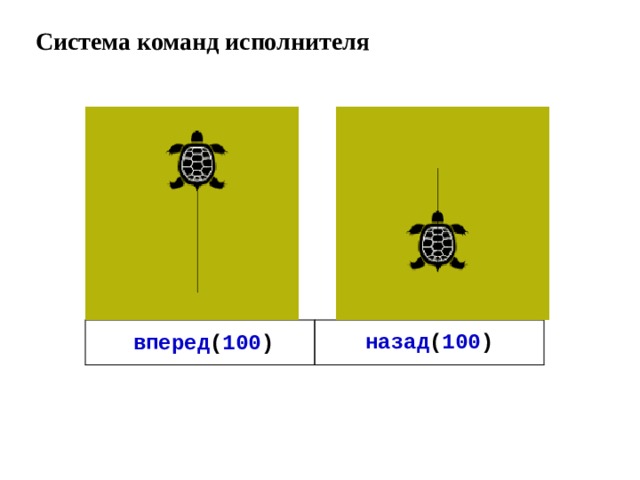 Исполнитель черепаха презентация