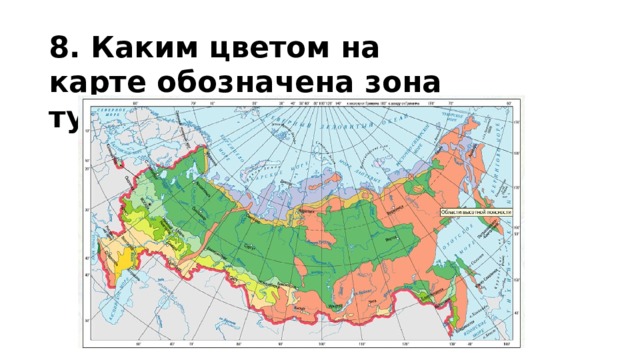 8. Каким цветом на карте обозначена зона тундры?  