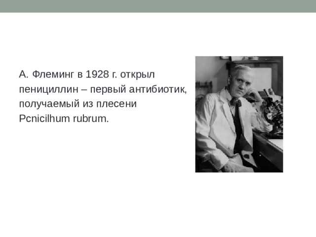 А. Флеминг в 1928 г. открыл пенициллин – первый антибиотик, получаемый из плесени Pcnicilhum rubrum. 