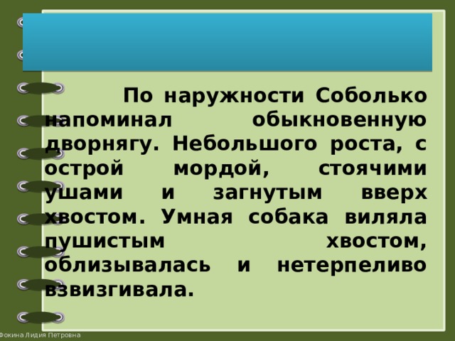  По наружности Соболько напоминал обыкновенную дворнягу. Небольшого роста, с острой мордой, стоячими ушами и загнутым вверх хвостом. Умная собака виляла пушистым хвостом, облизывалась и нетерпеливо взвизгивала. 