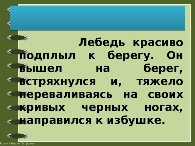  Лебедь красиво подплыл к берегу. Он вышел на берег, встряхнулся и, тяжело переваливаясь на своих кривых черных ногах, направился к избушке. 