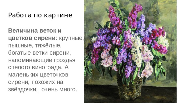 Работа по картине Величина веток и цветков сирени : крупные, пышные, тяжёлые, богатые ветки сирени, напоминающие гроздья спелого винограда. А маленьких цветочков сирени, похожих на звёздочки, очень много. 