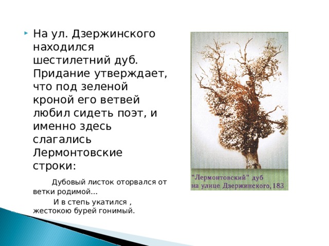 На ул. Дзержинского находился шестилетний дуб. Придание утверждает, что под зеленой кроной его ветвей любил сидеть поэт, и именно здесь слагались Лермонтовские строки:  Дубовый листок оторвался от ветки родимой…  И в степь укатился , жестокою бурей гонимый. 