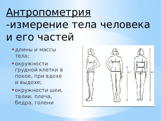 Антропометрия  -измерение тела человека и его частей  длины и массы тела; окружности грудной клетки в покое, при вдохе и выдохе; окружности шеи, талии, плеча, бедра, голени 