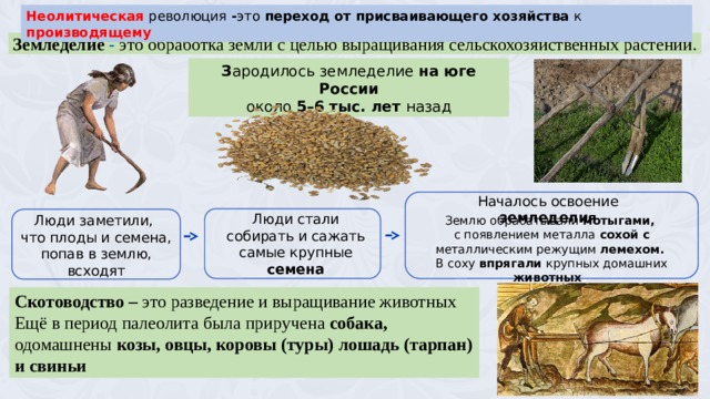 Неолитическая революция присваивающее хозяйство