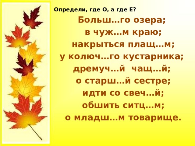 Определи, где О, а где Е? Больш…го озера;  в чуж…м краю;  накрыться плащ…м; у колюч…го кустарника; дремуч…й чащ…й;  о старш…й сестре;  идти со свеч…й;  обшить ситц…м;  о младш…м товарище. 