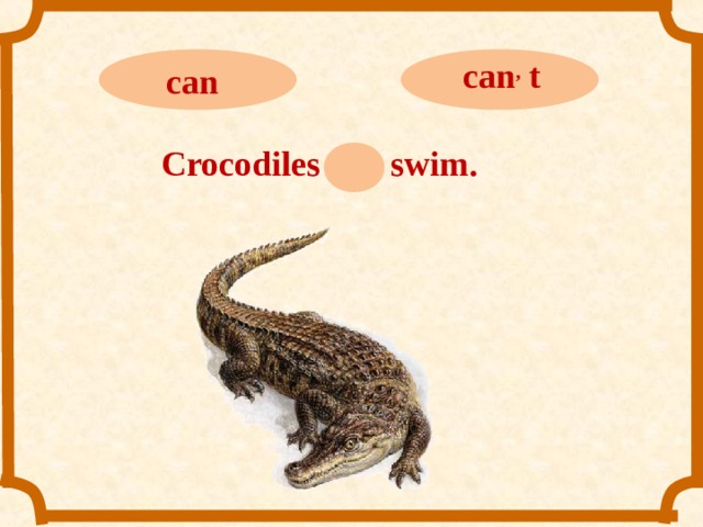 can ,  t can Crocodiles can swim.  